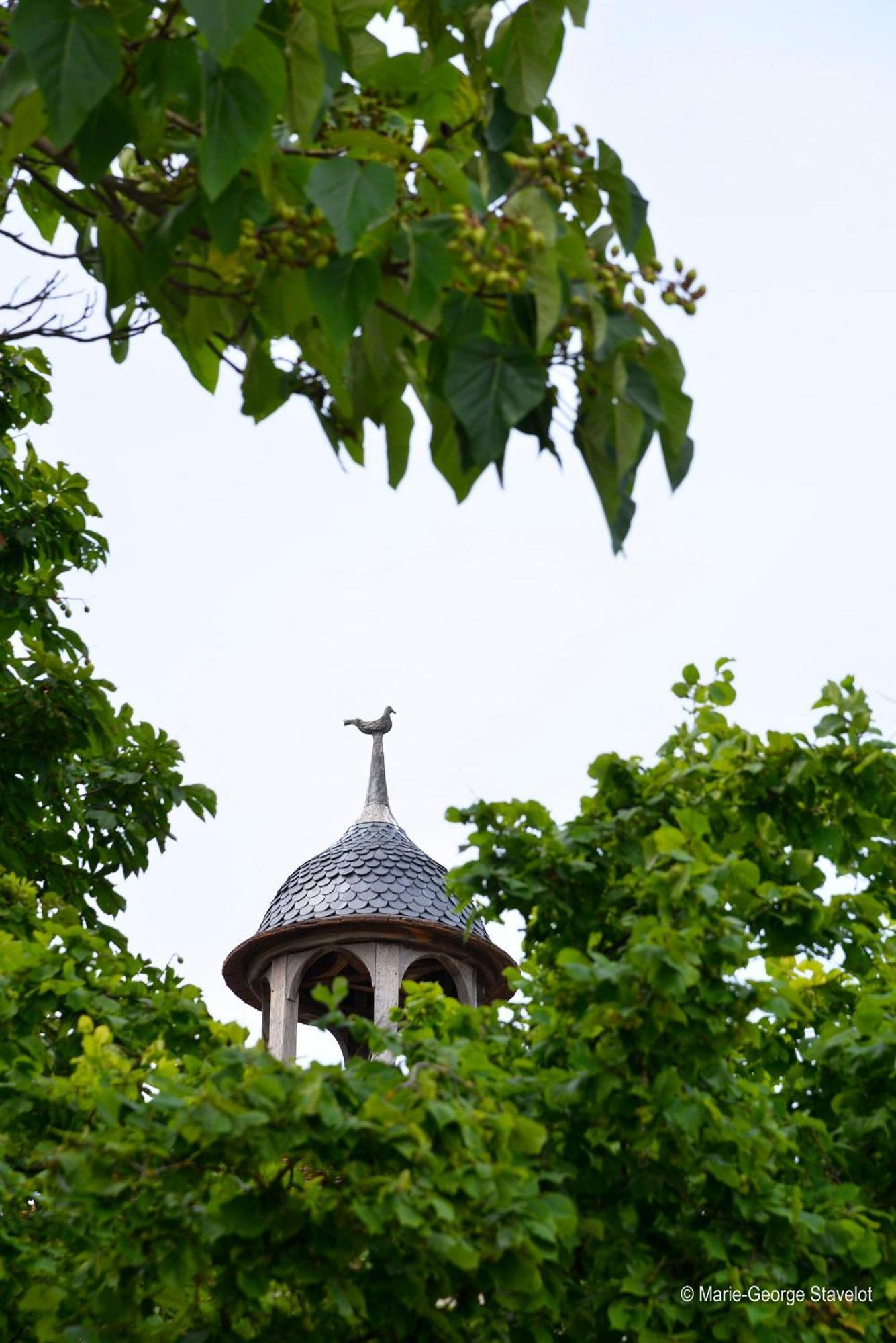 Domaine Borgnat Bed and Breakfast Escolives-Sainte-Camille Eksteriør billede