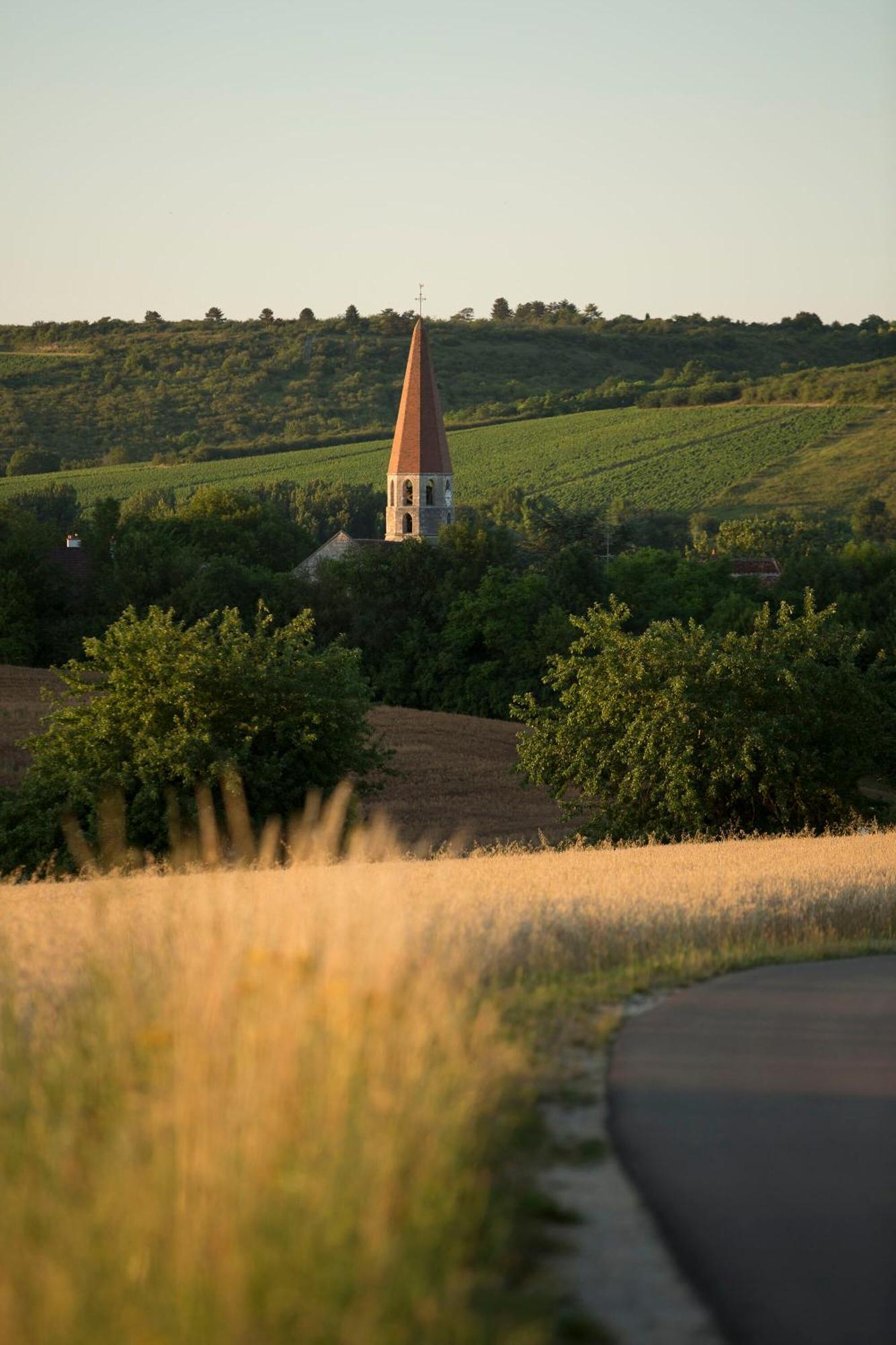 Domaine Borgnat Bed and Breakfast Escolives-Sainte-Camille Eksteriør billede