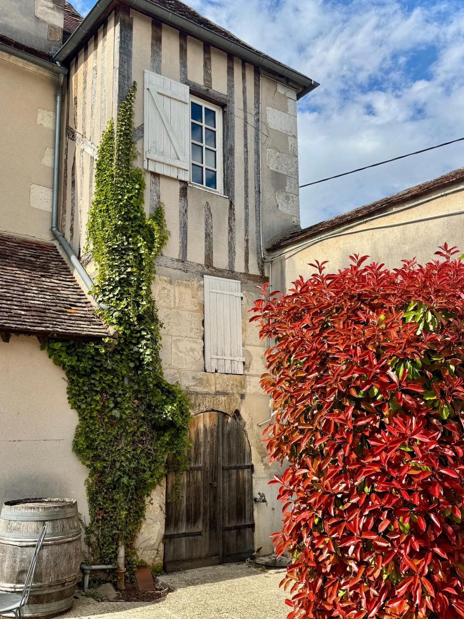 Domaine Borgnat Bed and Breakfast Escolives-Sainte-Camille Eksteriør billede